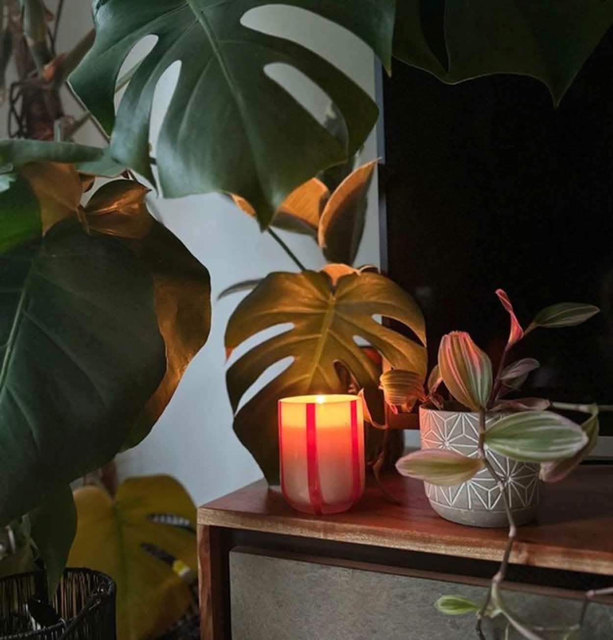 MÆGEN Atina Candle – Orange Blossom & Basil