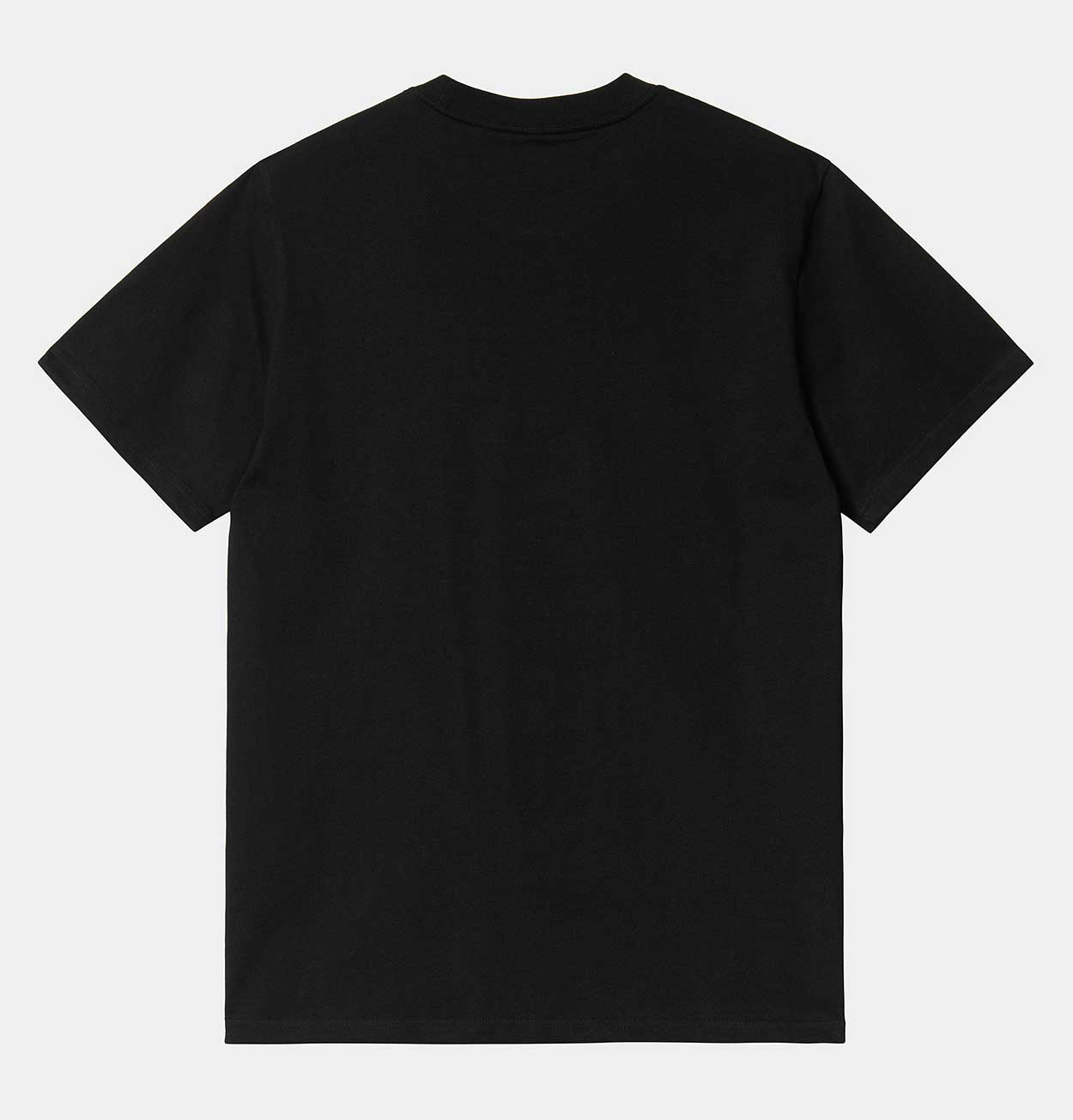 Carhartt WIP Script T-Shirt in Black