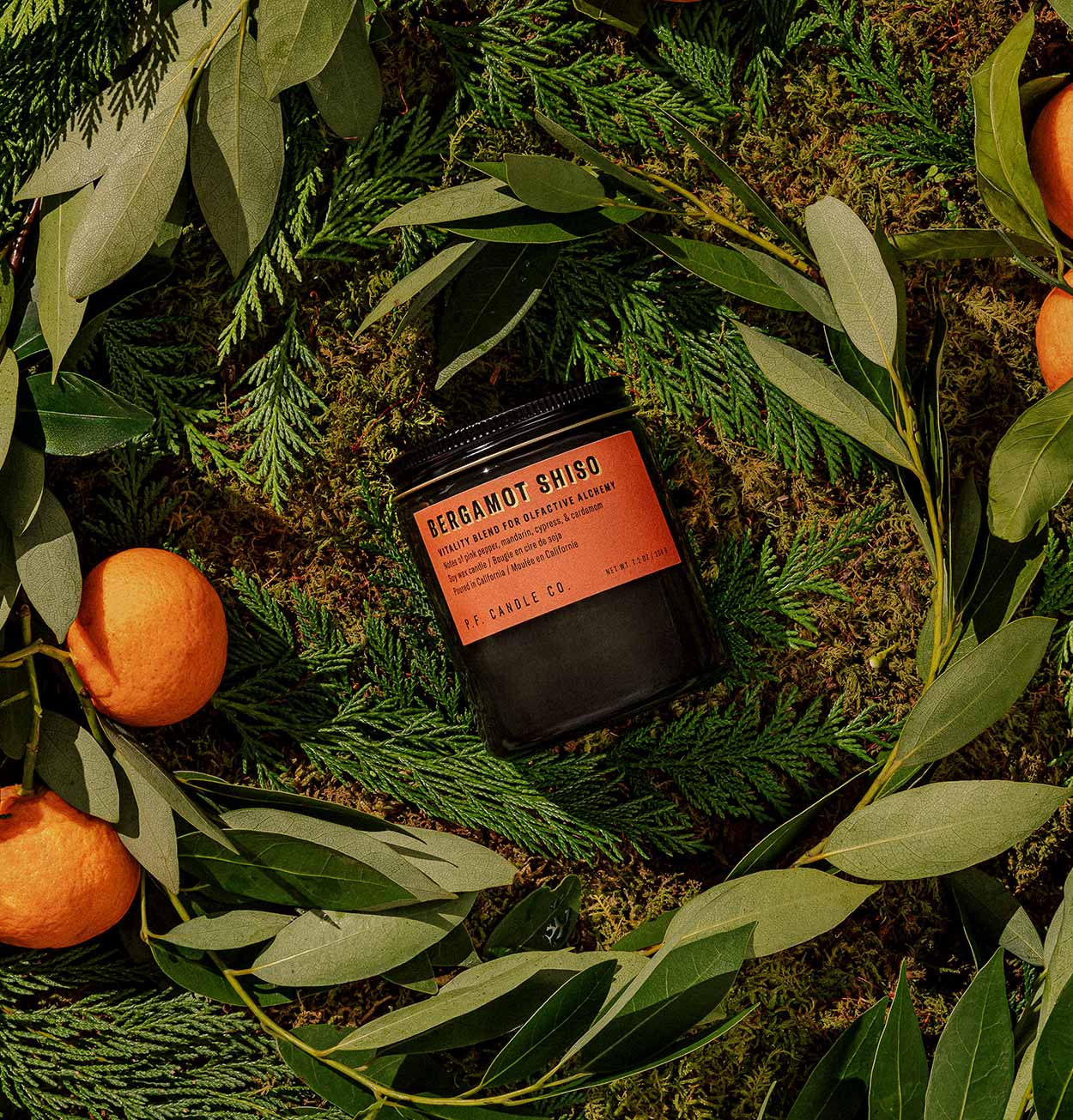 P.F. Candle Co. Alchemy Candle – 7.2oz – Bergamot Shiso