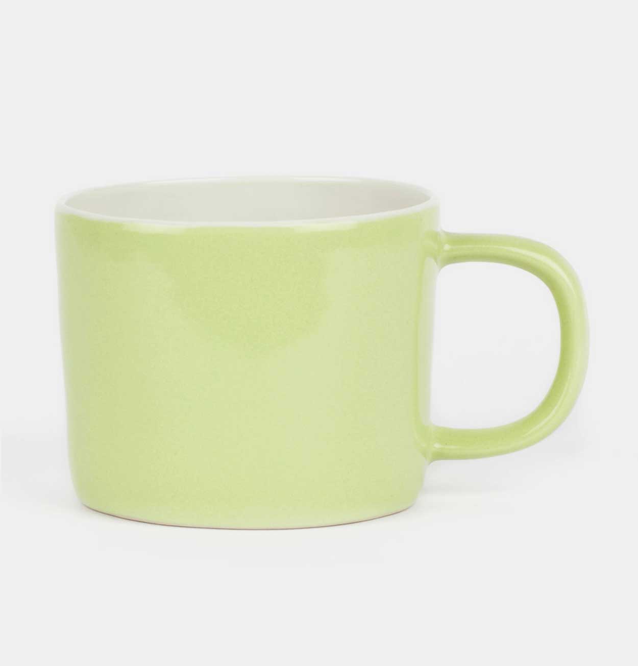 Quail's Egg Stoneware Mug in Pale Green