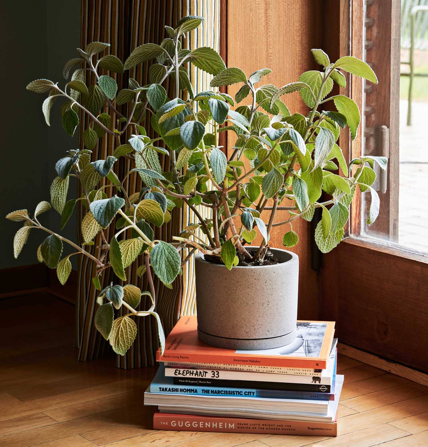 HAY Plant Pot with Saucer – L – Grey