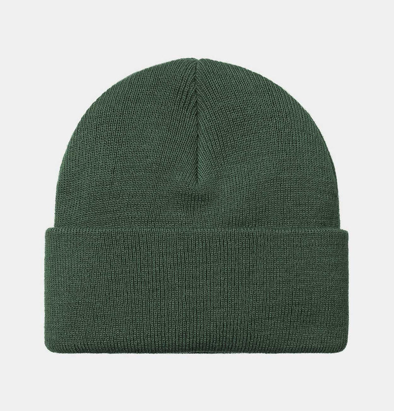 Carhartt WIP Chase Beanie in Sycamore Tree