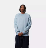 Carhartt WIP Chase Sweatshirt in Frosted Blue