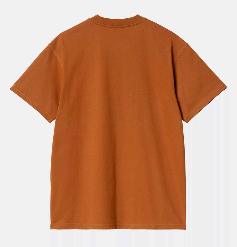 Carhartt WIP American Script T-Shirt in Sienna