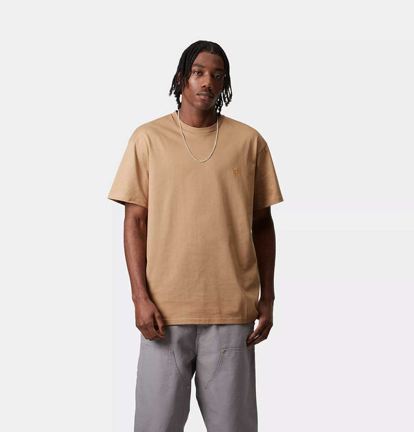 Carhartt WIP Chase T-Shirt in Dusty H Brown