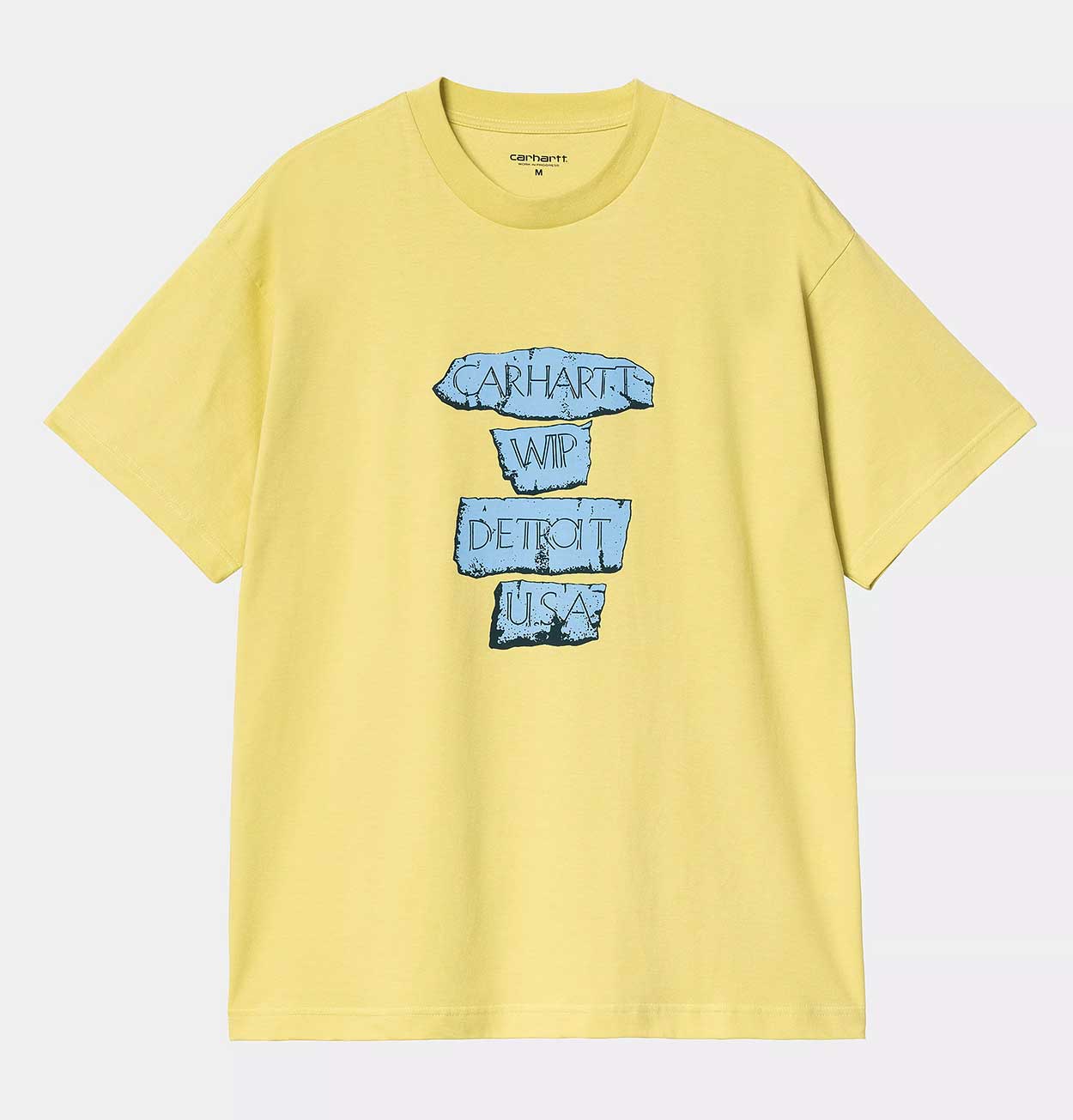 Carhartt WIP Masterpiece T-Shirt in Fandoghi